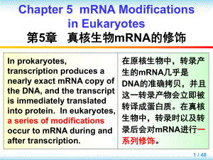 大学课程英汉对照分子生物学导论教学Chapter5课件.ppt