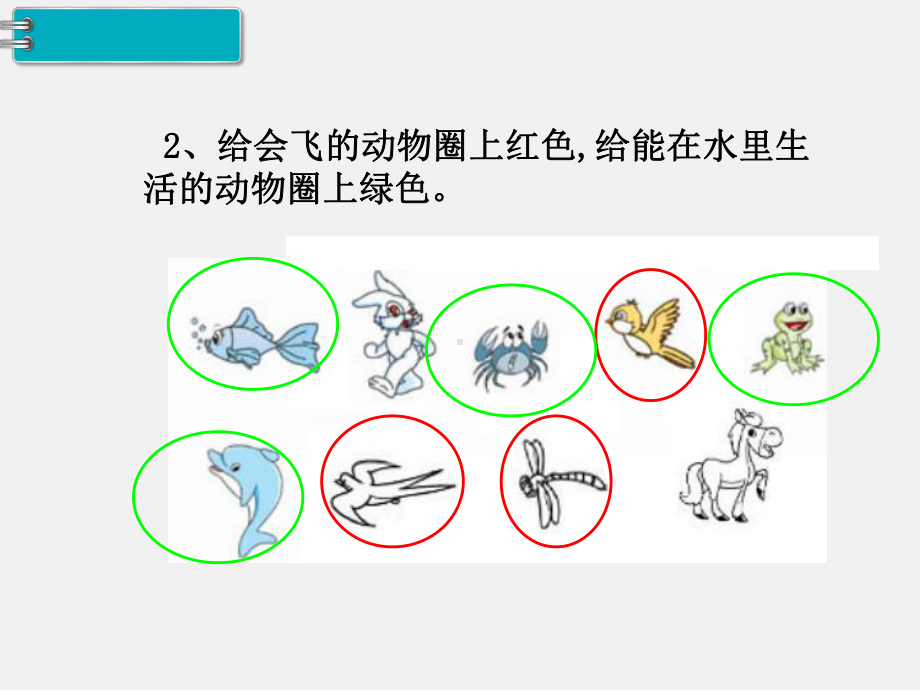 部编人教版一年级数学下册课件：分类与整理练习课.pptx_第3页