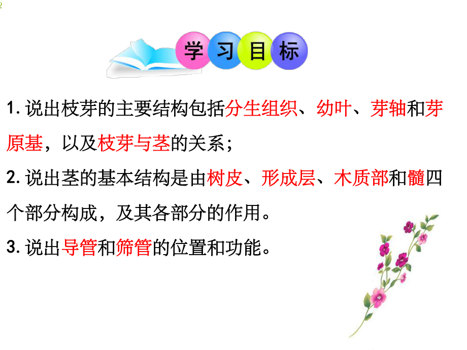 植物茎的输导功能课件.ppt_第2页