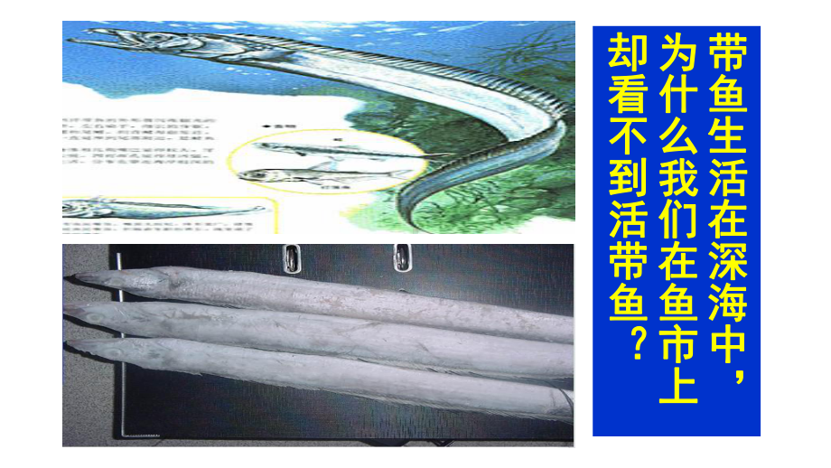 人教版初中物理八年级下册92液体的压强课件(26张).ppt_第2页