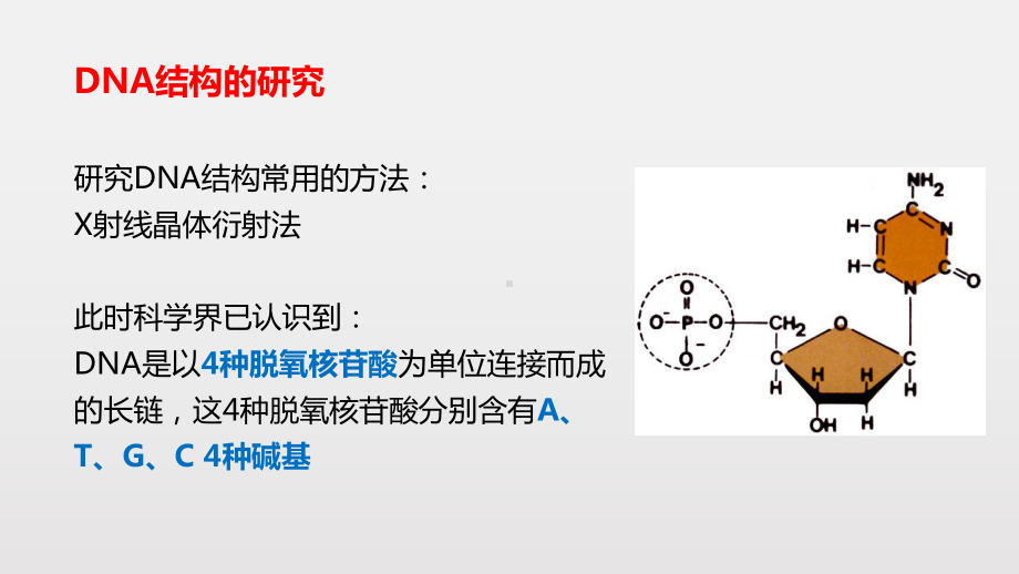 人教版高中生物必修二课件：DNA的结构.pptx_第3页