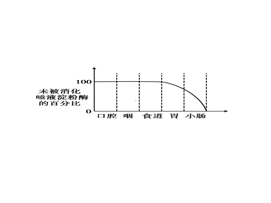 人教版七年级生物下册第四单元第二章第二节消化和吸收(共31张).ppt_第2页