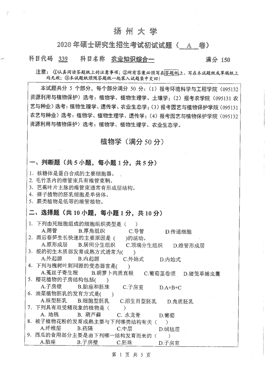 2020年扬州大学硕士考研专业课真题339.pdf_第1页