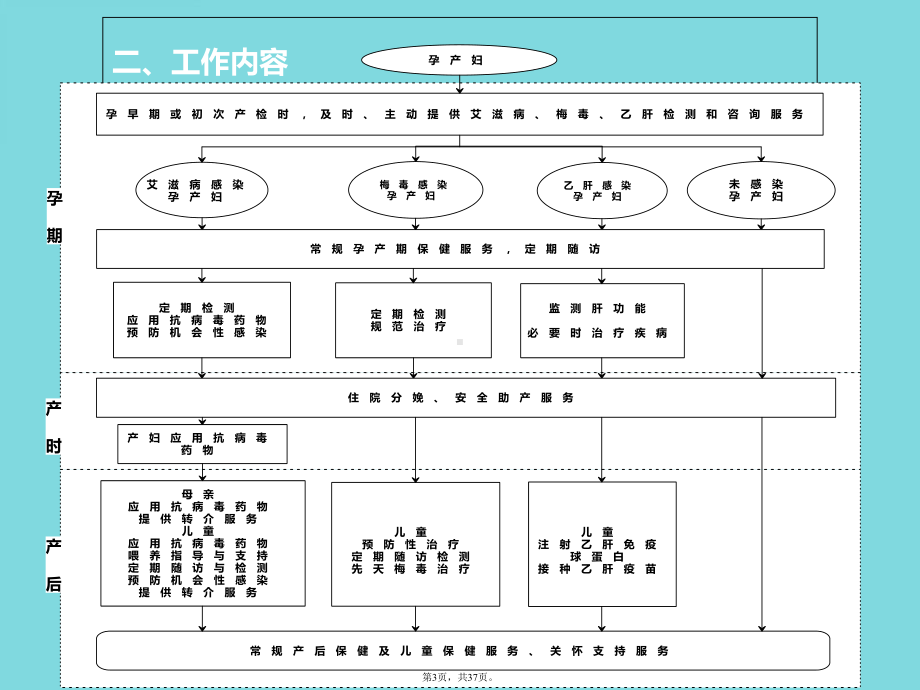 预防艾滋病梅毒和乙肝母婴传播干预服务技术(共37张)课件.pptx_第3页