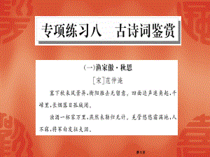 人教部编版九年级语文下册公开课课件：专项8古诗词鉴赏.ppt