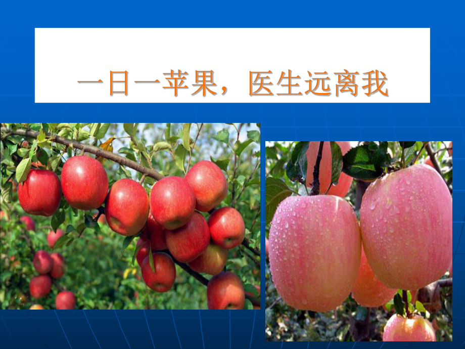 苹果的介绍课件.ppt_第3页