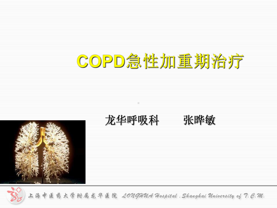 慢阻肺的治疗课件.ppt_第1页