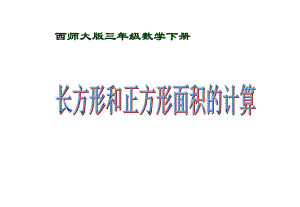 长方形和正方形面积的计算课件.pptx