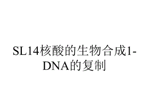 SL14核酸的生物合成1-DNA的复制.ppt