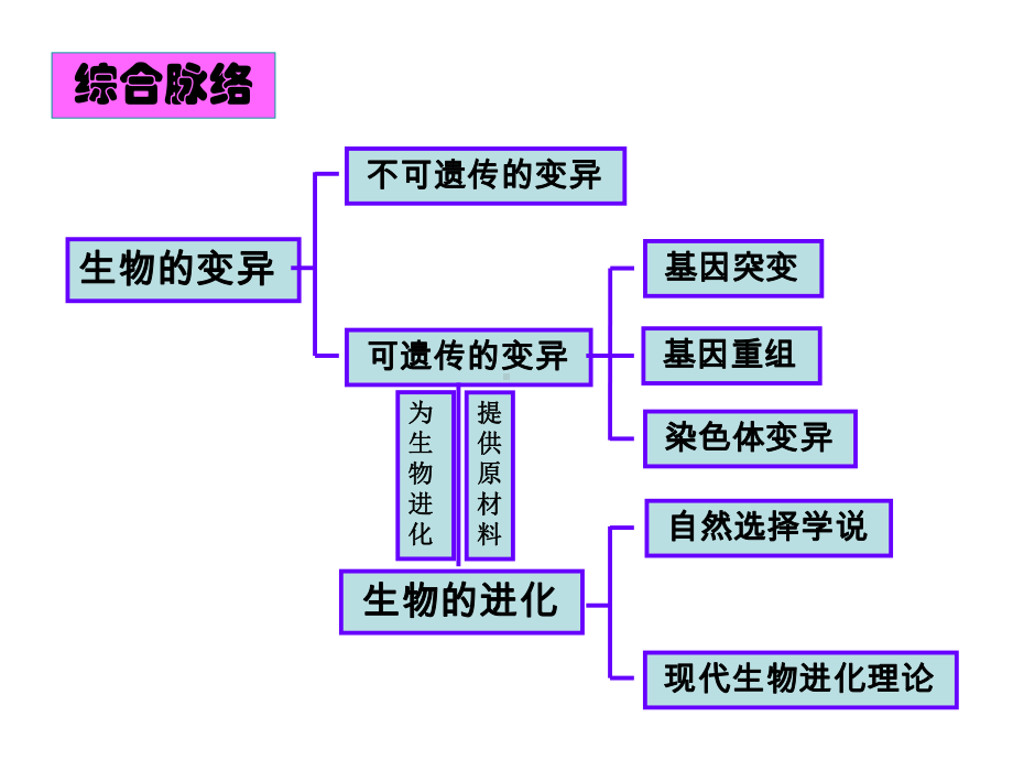 生物的进化复习课件.ppt_第3页