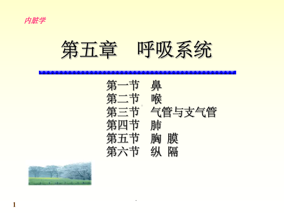 解剖学呼吸系统课件.ppt_第1页