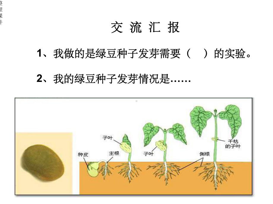 种子发芽实验二课件.ppt_第2页