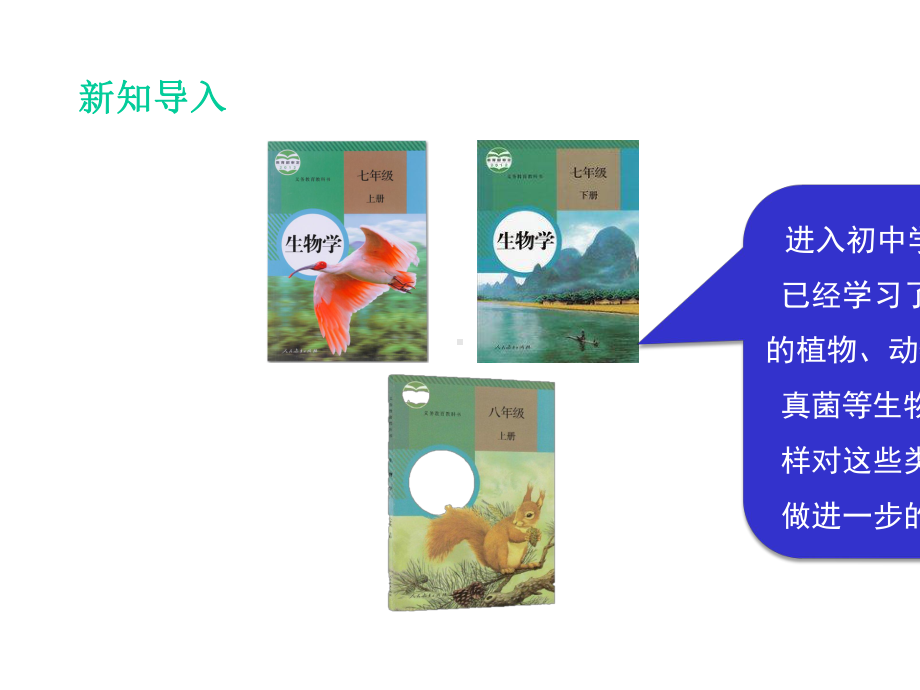 《尝试对生物进行分类》精品课件.ppt_第2页