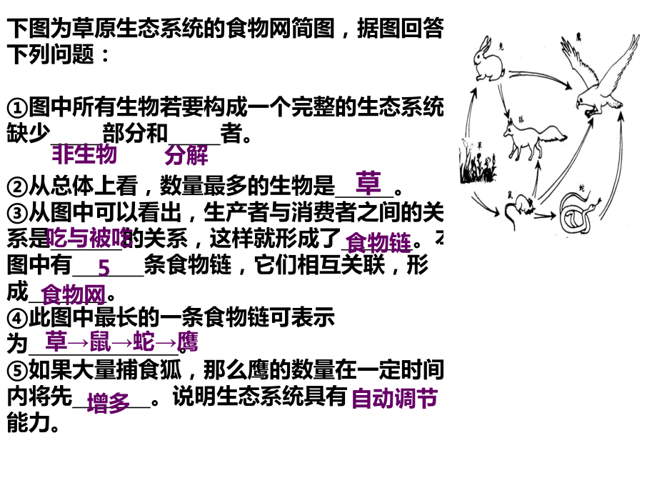 人教版七上生物识图题专项课件(同名1509).ppt_第1页