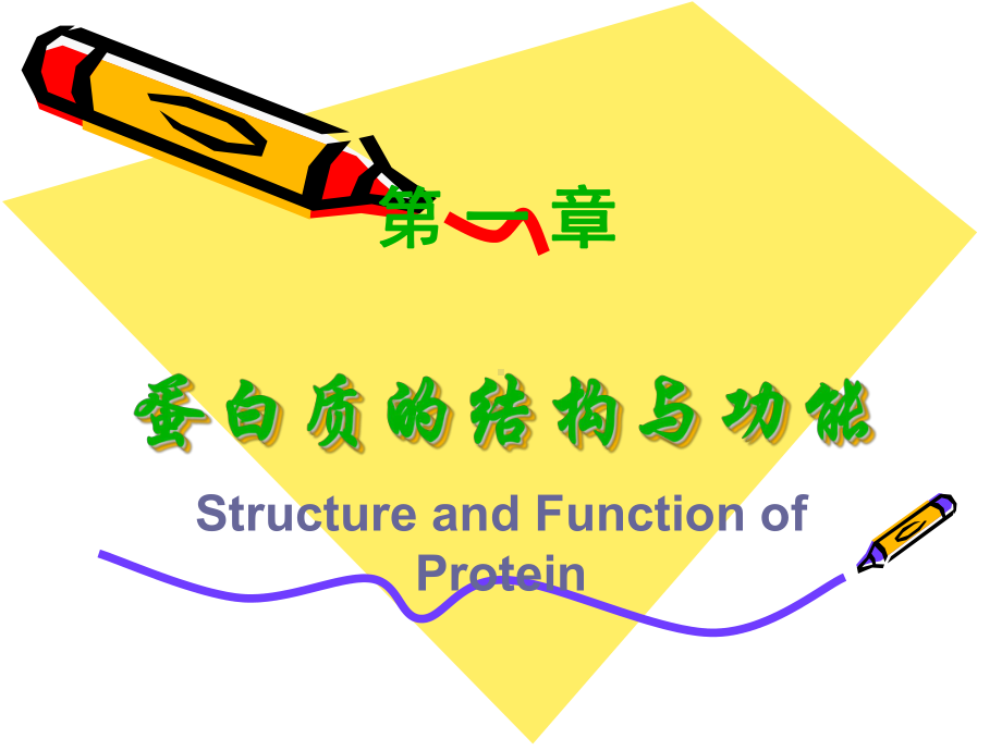 生物化学蛋白质课件.ppt_第1页