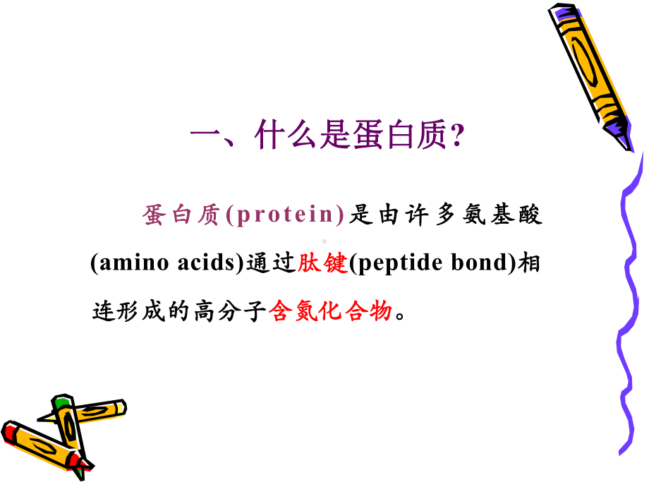 生物化学蛋白质课件.ppt_第2页