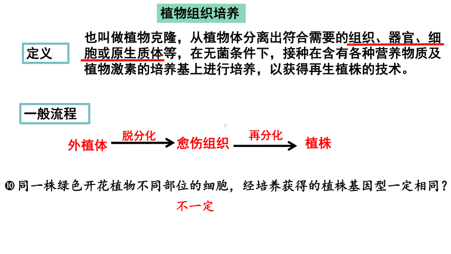 植物组织培养专题复习课件.ppt_第1页