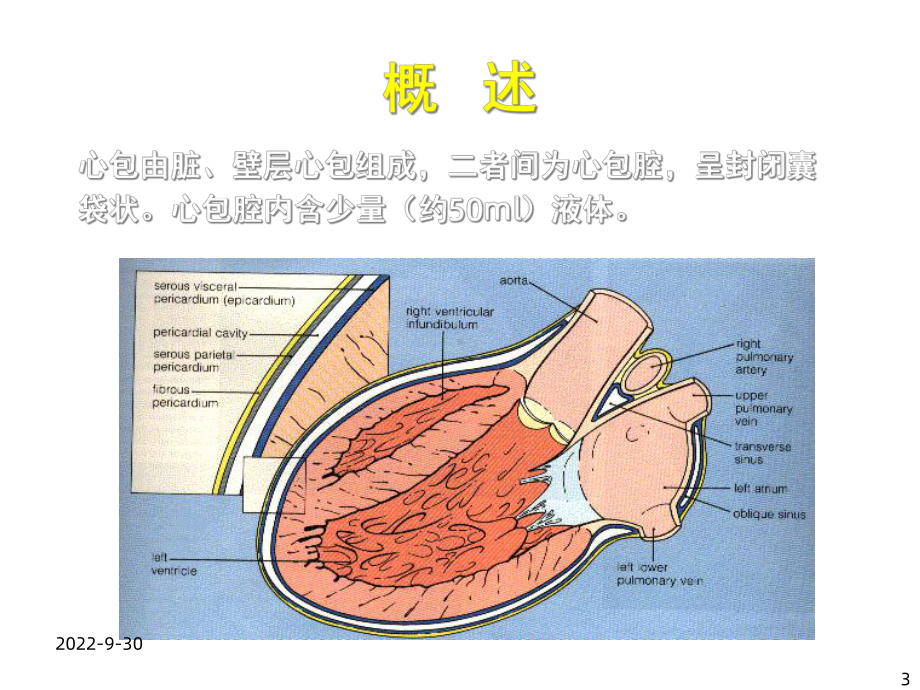 《心包炎缩减版》课件.ppt_第3页