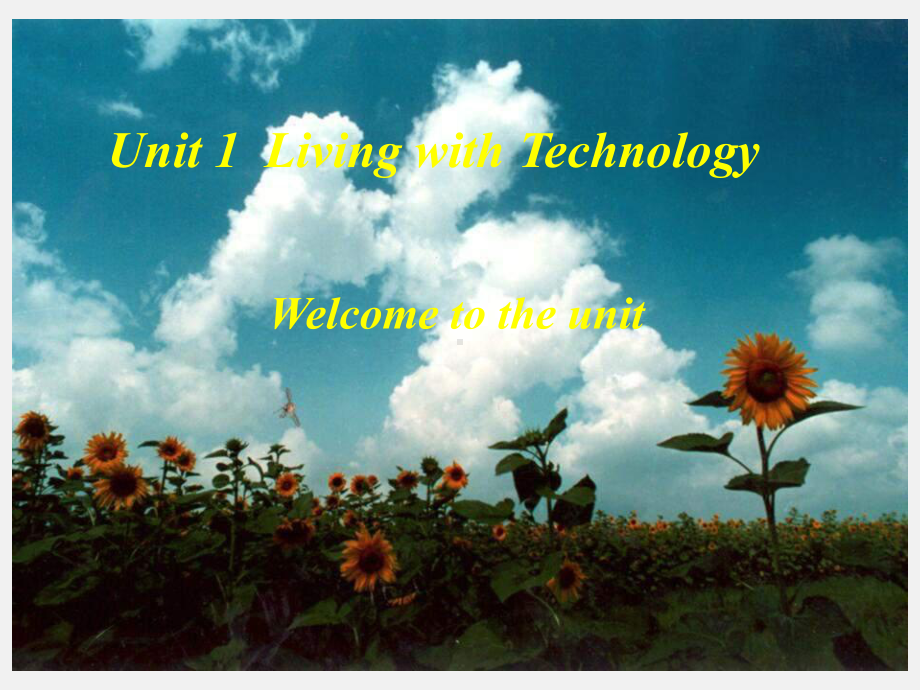 高二英语Livingwithtechnology课件.ppt_第1页