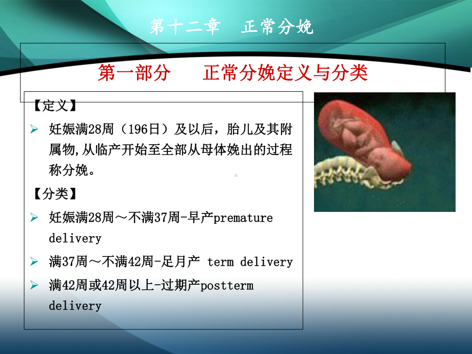 正常分娩分娩生理PP课件.ppt_第2页