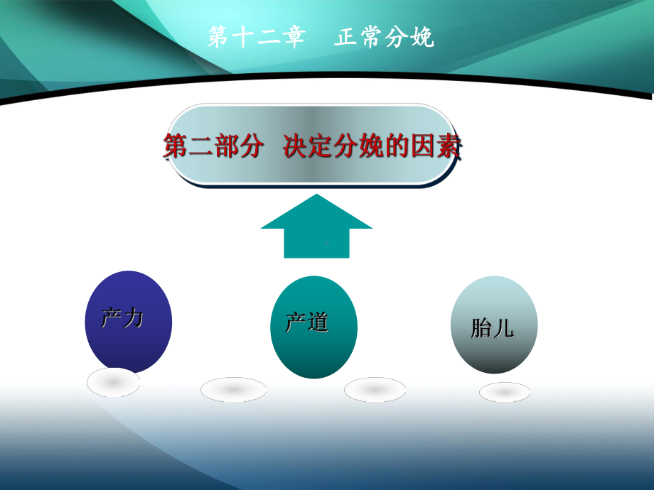 正常分娩分娩生理PP课件.ppt_第3页