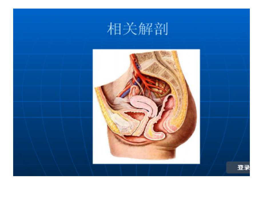 阴式子宫全切术手术纪录演示文本课件.ppt_第2页