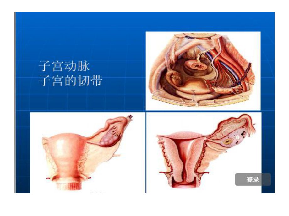 阴式子宫全切术手术纪录演示文本课件.ppt_第3页