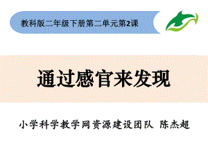 二年级下册科学课件《通过感官来发现》教科版.pptx