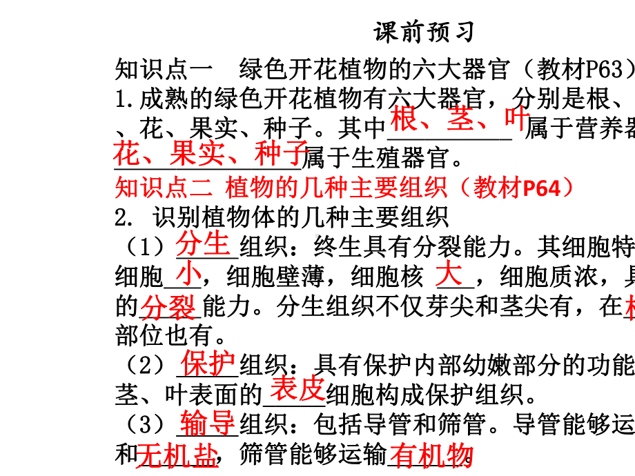 七年级生物上册第二单元第二章第三节植物体的结构层次课件新版新人教版.ppt_第3页