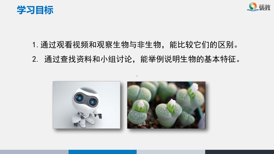 《生物的特征》名师教学课件2.ppt_第2页