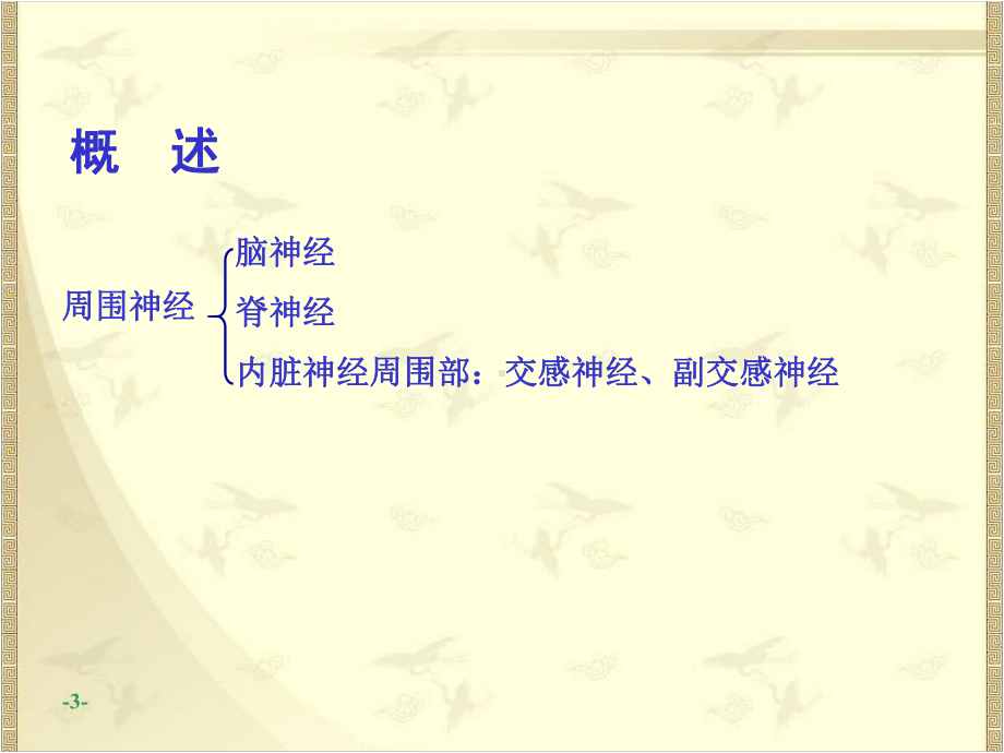 系统解剖学：周围神经系统-脊神经.ppt_第3页