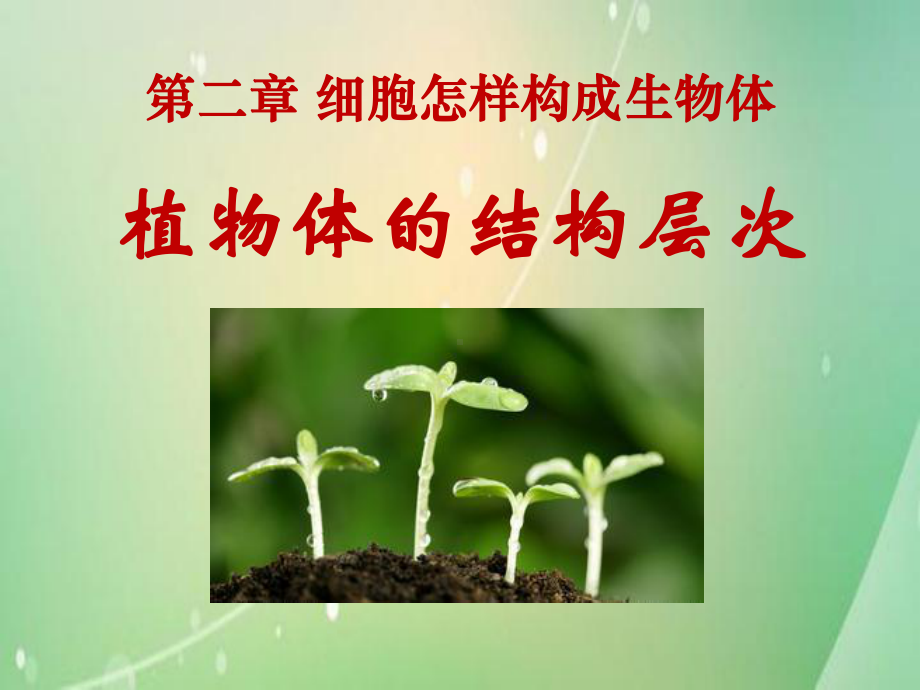 植物体的结构层次1[课件].ppt_第1页