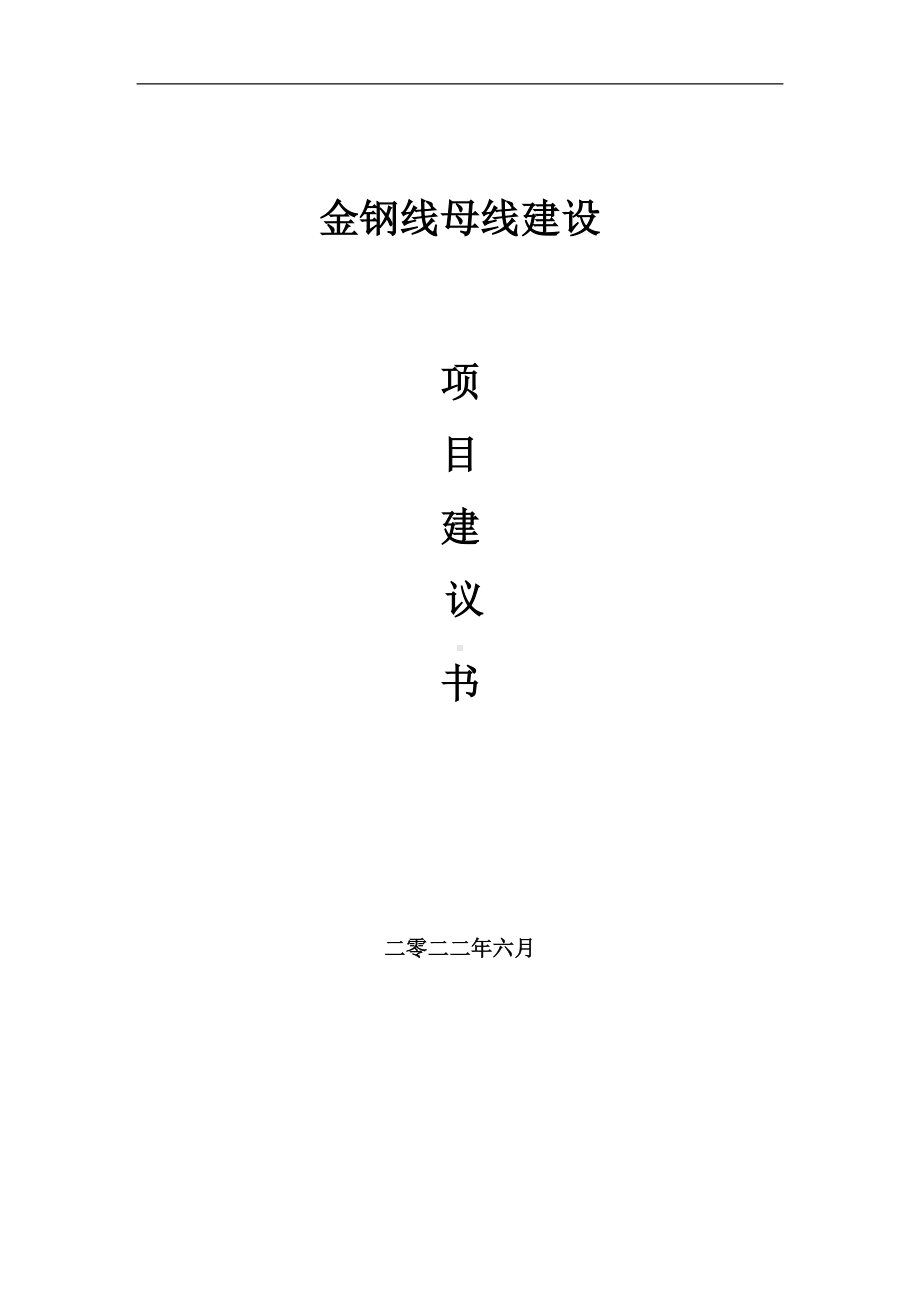 金钢线母线项目建议书（写作模板）.doc_第1页