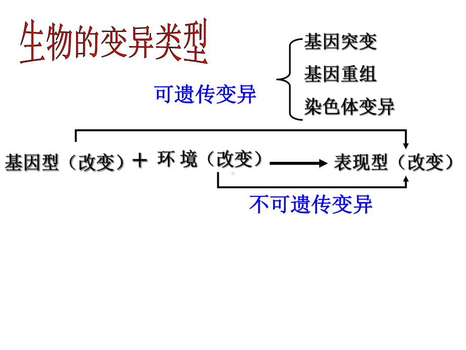 高中生物必修二杂交育种与诱变育种课件.ppt_第1页