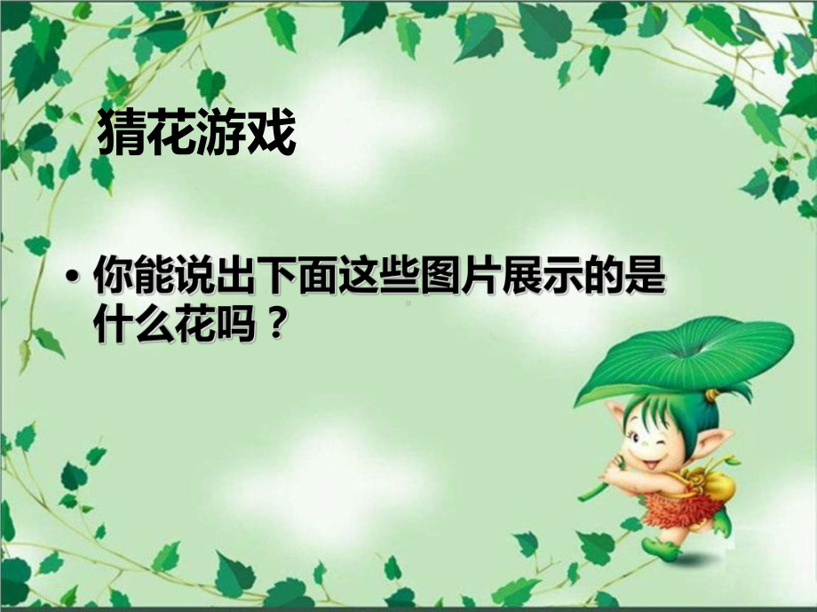 《各种各样的花》课件2.ppt_第2页