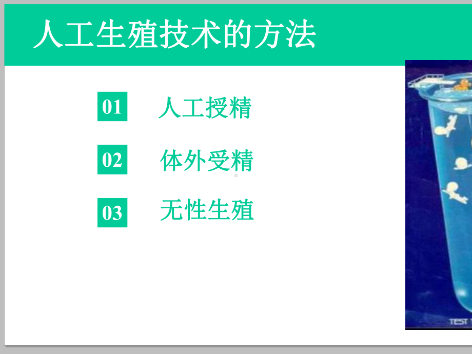 人工生殖技术的伦理问题课件精选-2.pptx_第3页