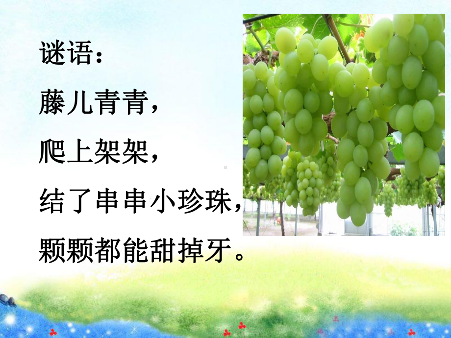 《葡萄沟》教学课件1公开课获奖课件.ppt_第1页