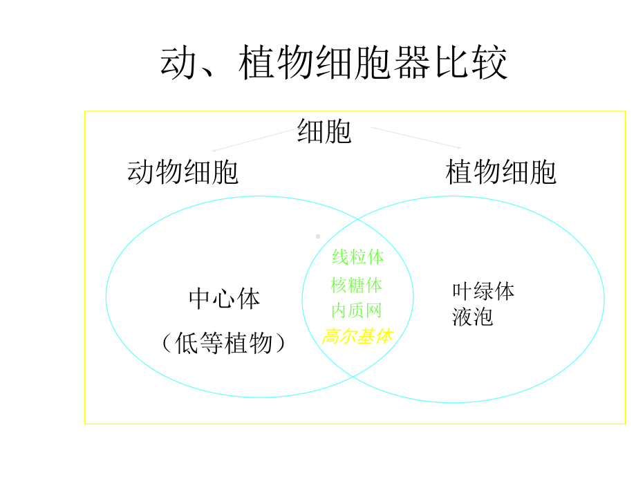 细胞的结构与功能正式版课件.ppt_第3页