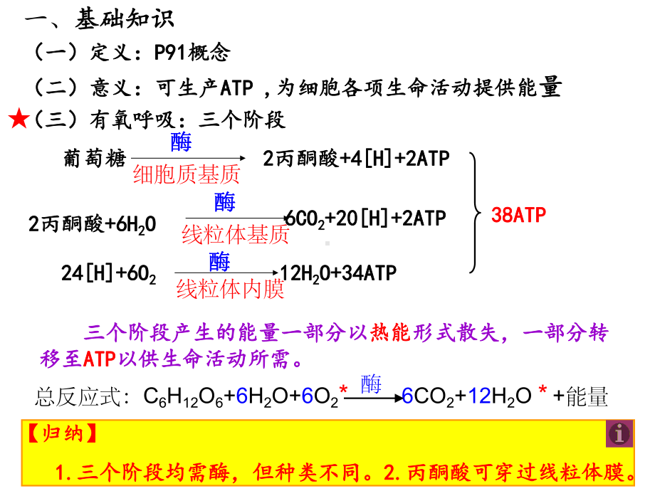 一轮复习-呼吸作用.ppt_第2页