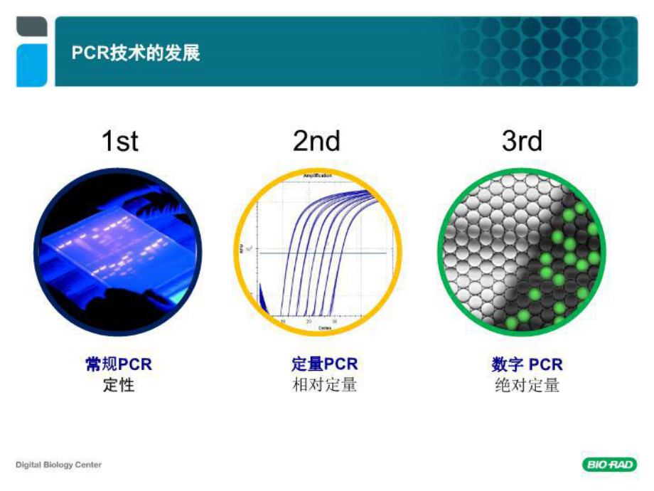 QX200讲义--微滴式数字PCR系统.ppt_第2页