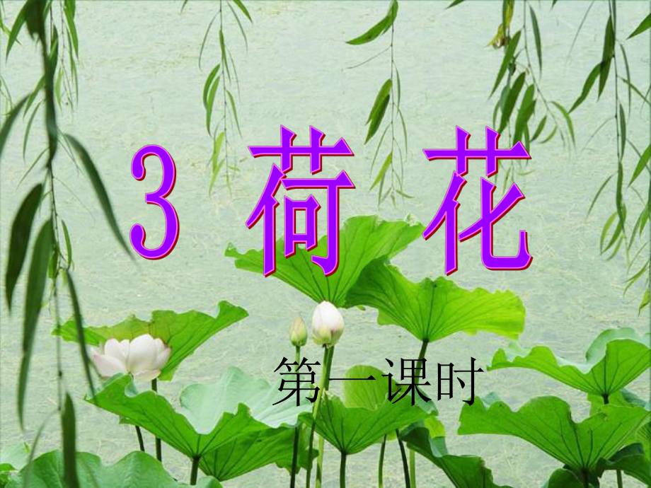 荷花第一课时课件.ppt_第1页