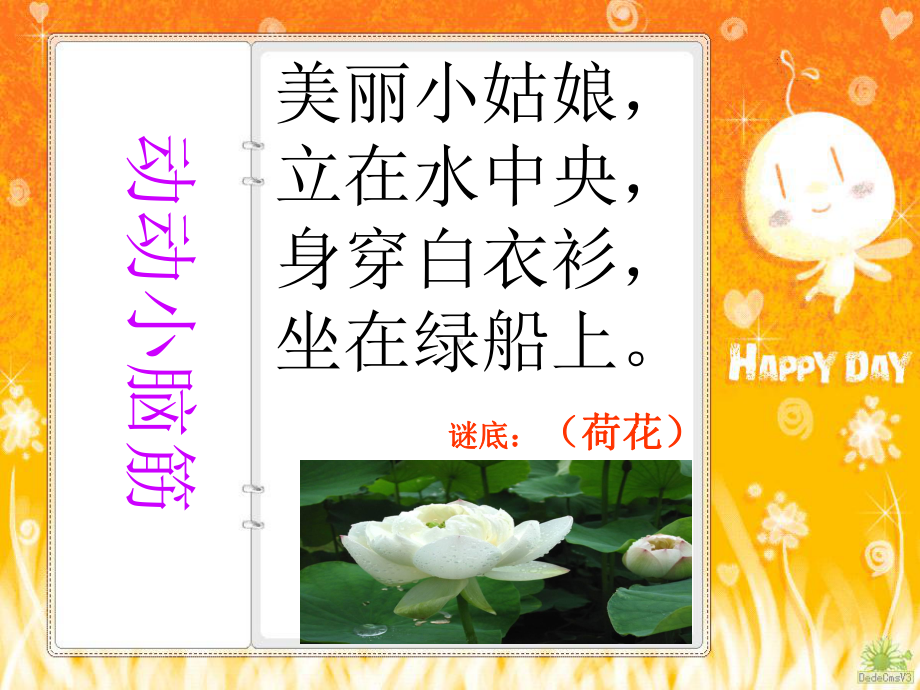 荷花第一课时课件.ppt_第2页