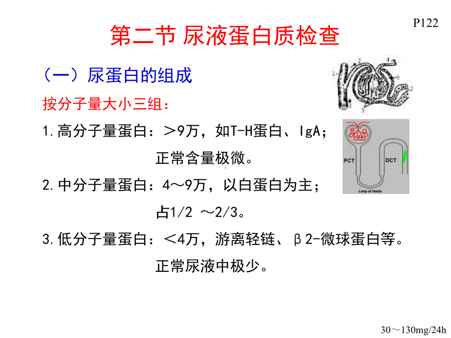 临床基础检验学精选.ppt_第2页