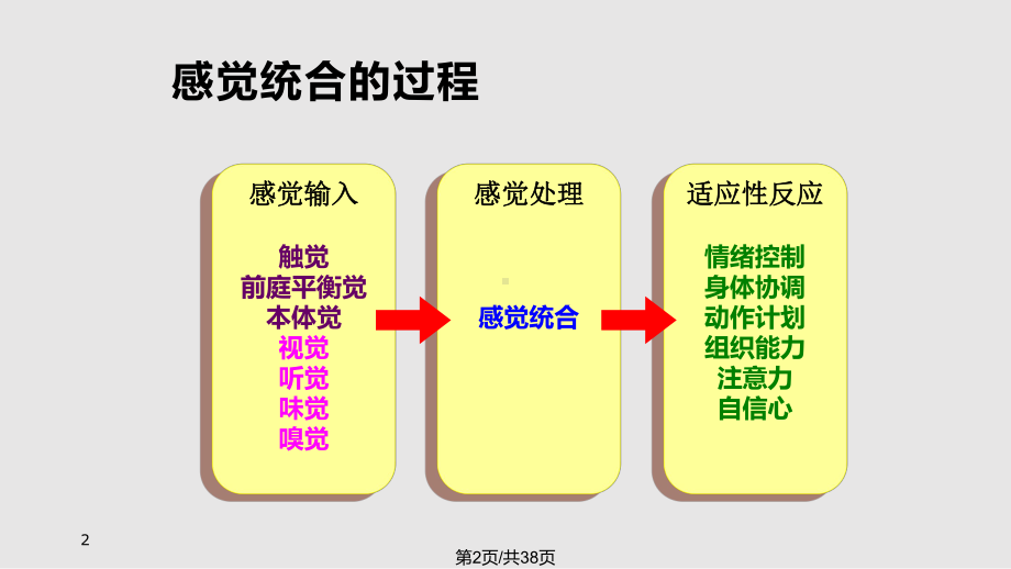 早教师感觉统合训练课件.pptx_第2页