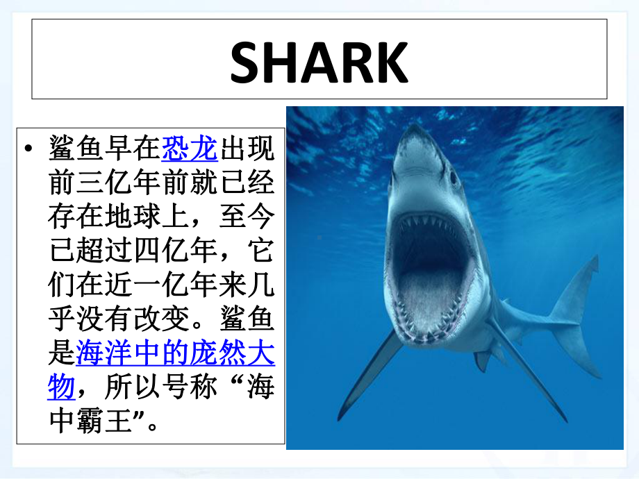 新目标九年级英语Unit13period2课件.ppt--（课件中不含音视频）_第3页