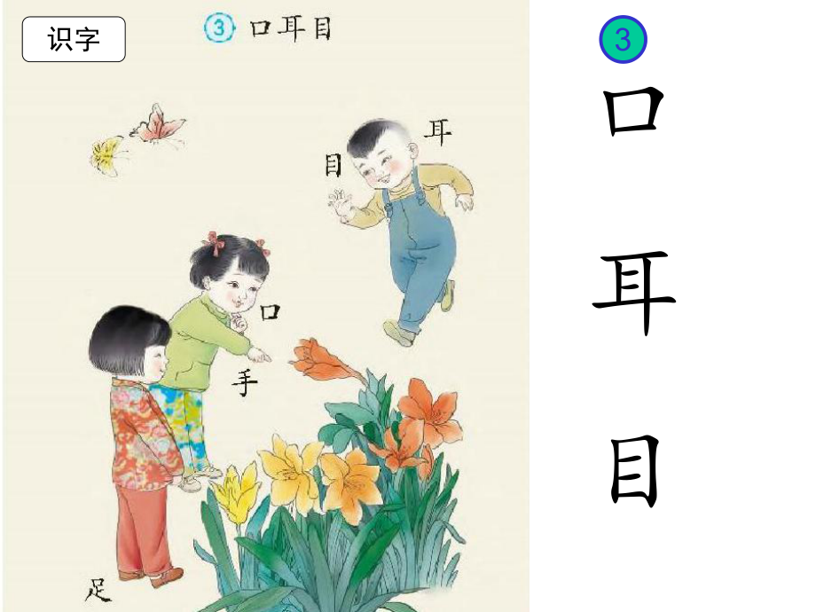 《口耳目》优秀课件.ppt_第2页