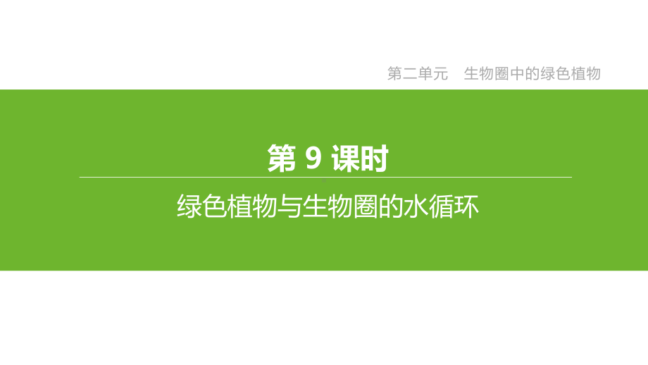 中考生物一轮复习课件：专题09绿色植物与生物圈的水循环.pptx_第1页