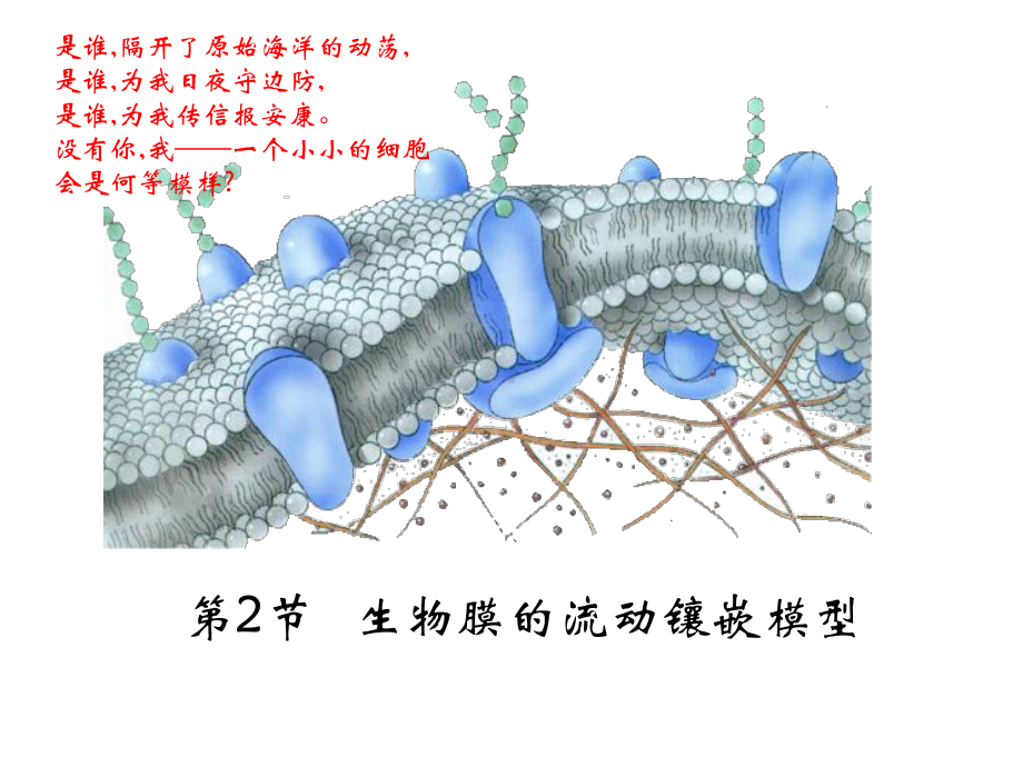 高中生物必修一生物膜的流动镶嵌模型课件.ppt_第1页