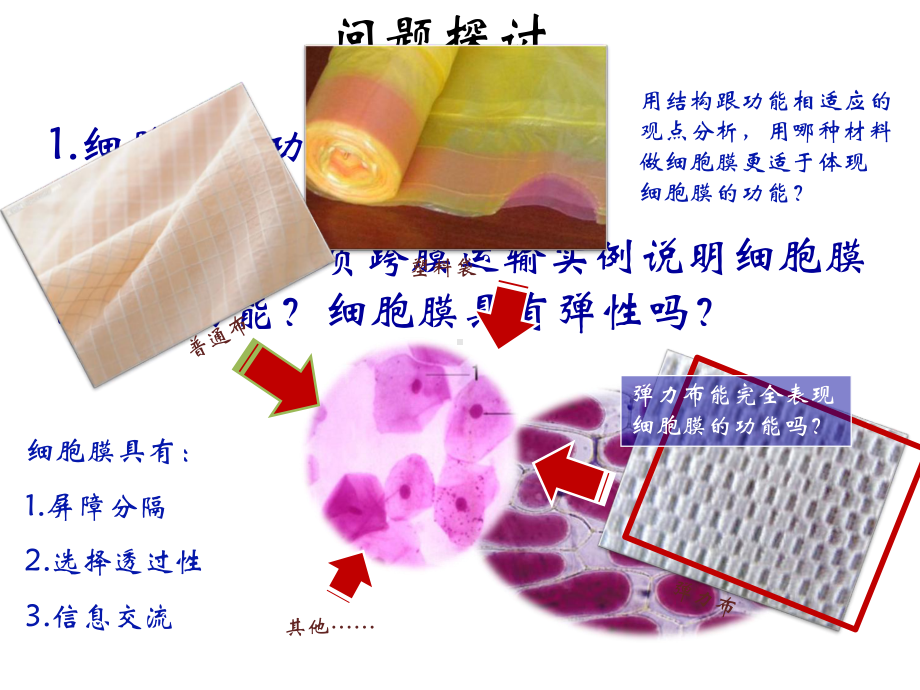 高中生物必修一生物膜的流动镶嵌模型课件.ppt_第2页