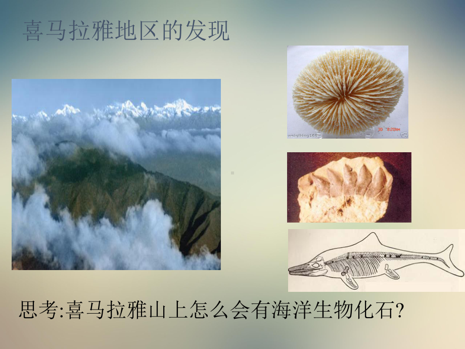 粤人版七年级地理上册：海洋和陆地的变迁课件.ppt_第3页